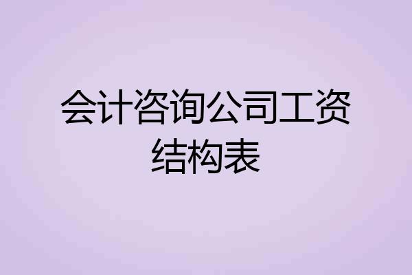 会计咨询公司工资结构表