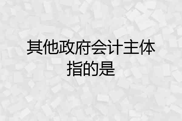 其他政府会计主体指的是