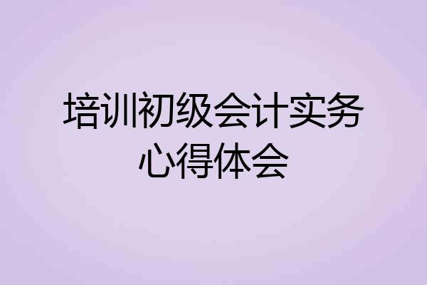 培训初级会计实务心得体会