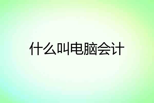 什么叫电脑会计
