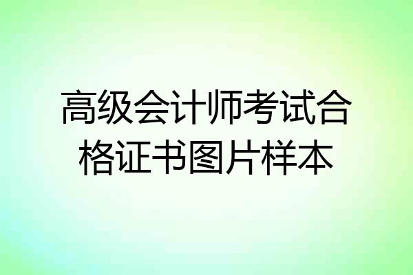 高级会计师考试合格证书图片样本