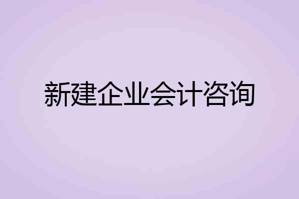 新建企业会计咨询