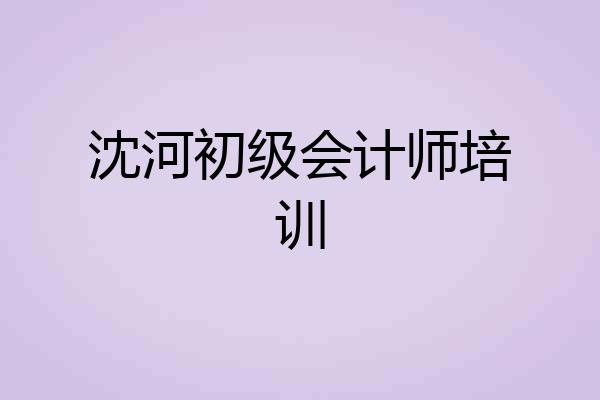 沈河初级会计师培训