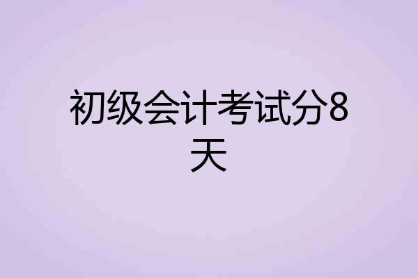 初级会计考试分8天