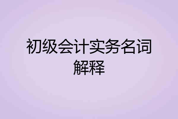 初级会计实务名词解释