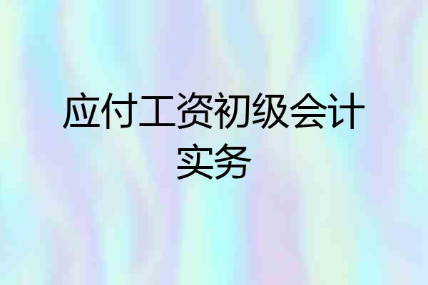 应付工资初级会计实务