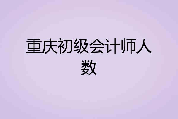 重庆初级会计师人数