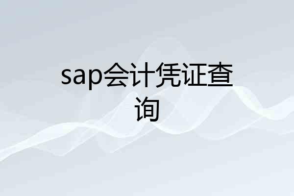 sap会计凭证查询