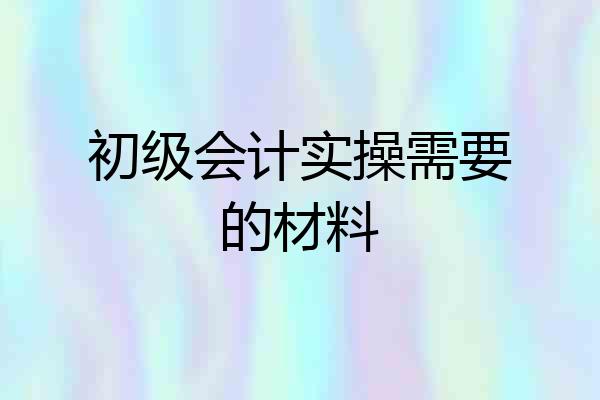 初级会计实操需要的材料