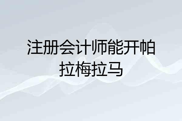 注册会计师能开帕拉梅拉马