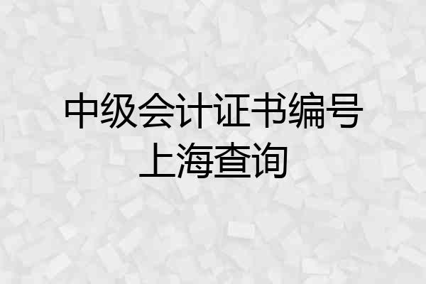中级会计证书编号上海查询