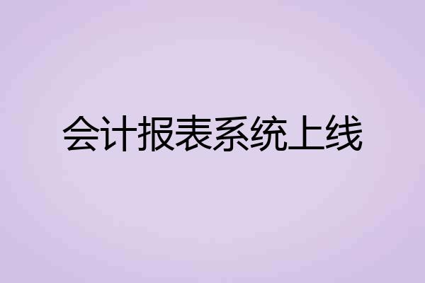 会计报表系统上线