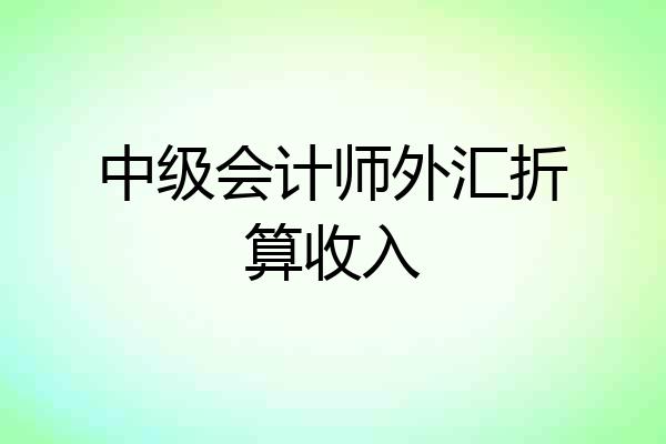 中级会计师外汇折算收入