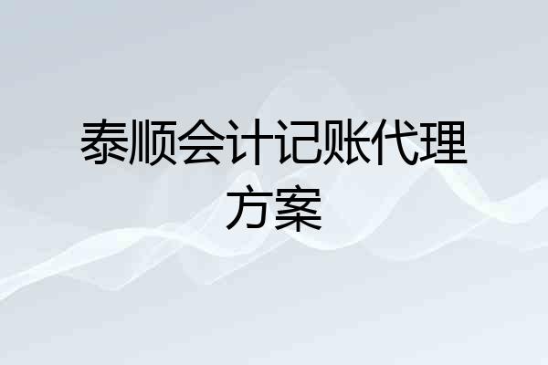 泰顺会计记账代理方案