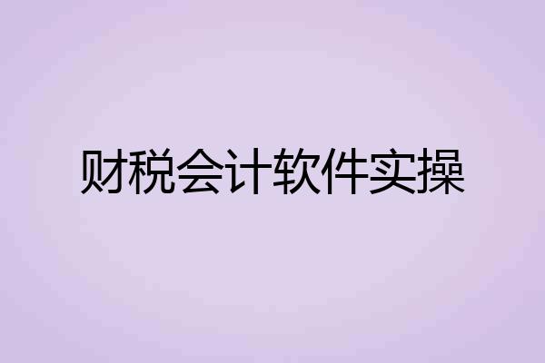 财税会计软件实操