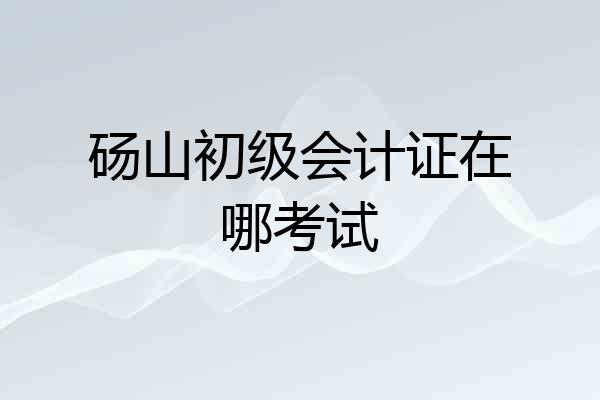 砀山初级会计证在哪考试
