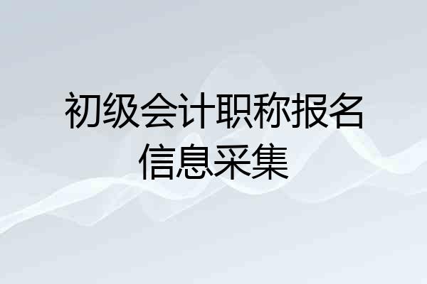 初级会计职称报名信息采集