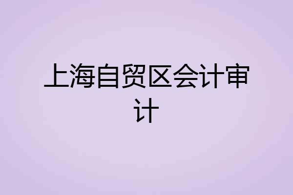 上海自贸区会计审计
