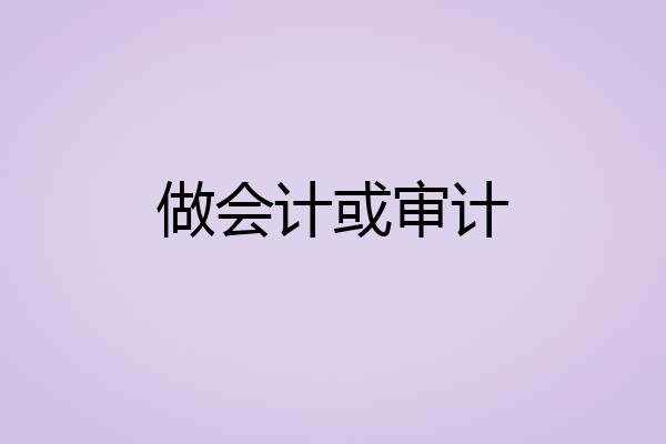 做会计或审计