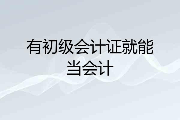 有初级会计证就能当会计