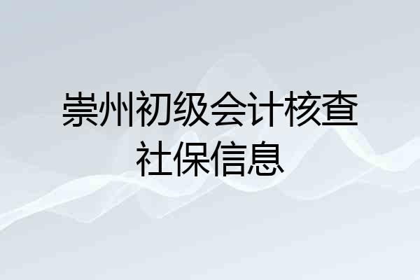 崇州初级会计核查社保信息