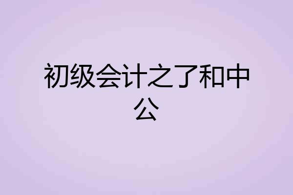 初级会计之了和中公