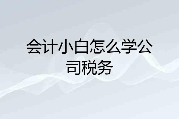会计小白怎么学公司税务