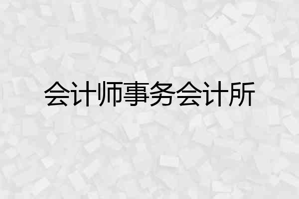 会计师事务会计所