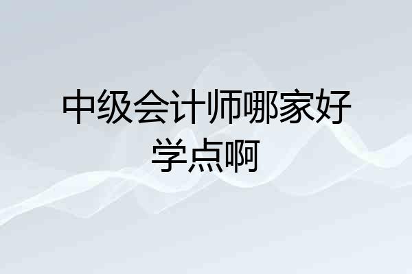 中级会计师哪家好学点啊