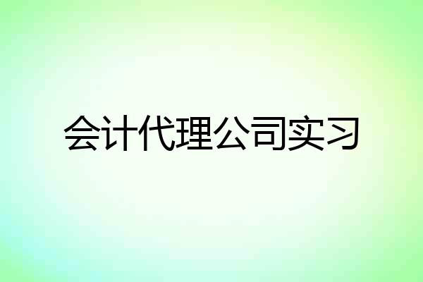 会计代理公司实习