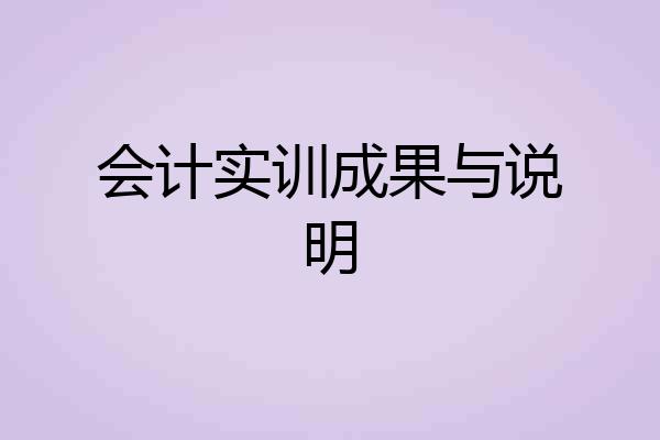 会计实训成果与说明