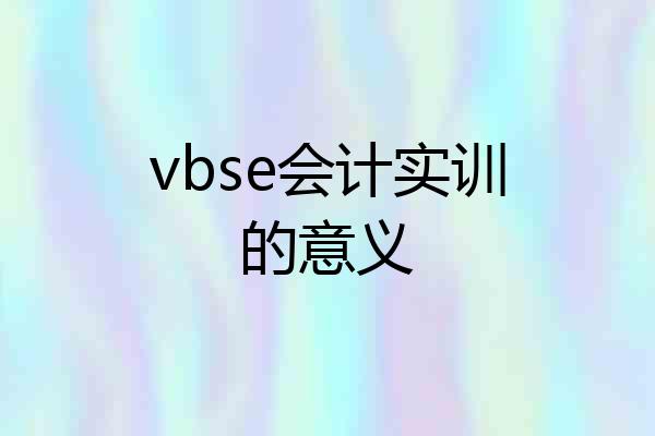 vbse会计实训的意义
