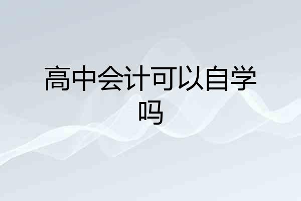 高中会计可以自学吗