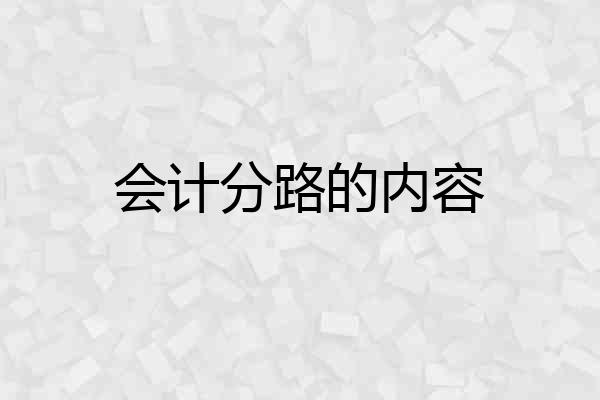 会计分路的内容