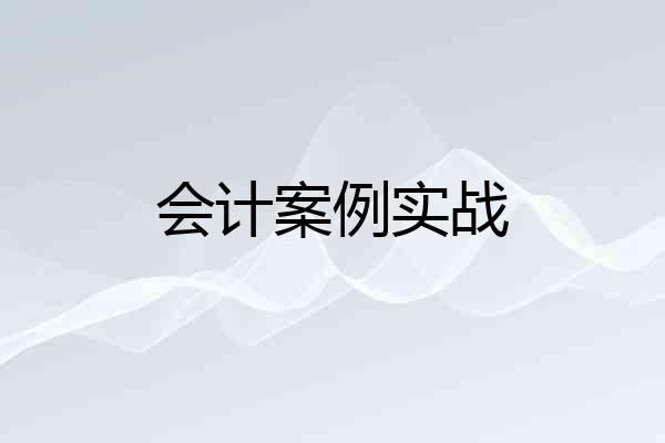 会计案例实战