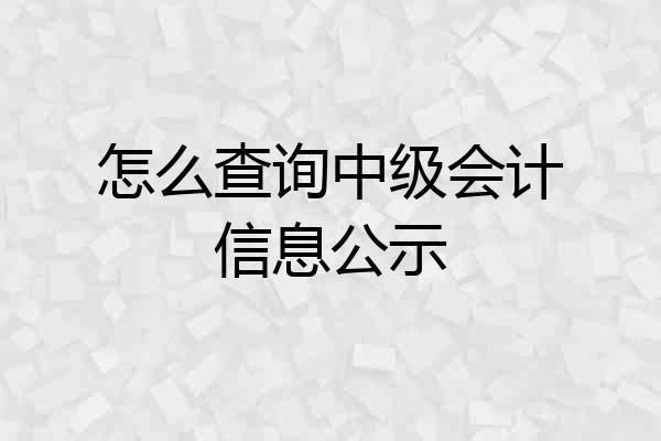 怎么查询中级会计信息公示