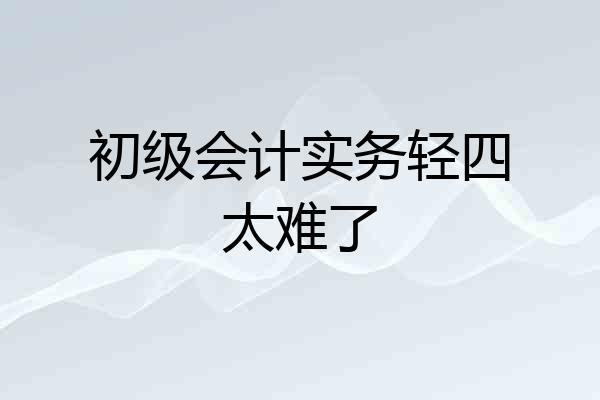 初级会计实务轻四太难了