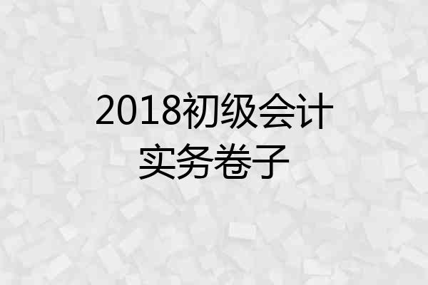 2018初级会计实务卷子