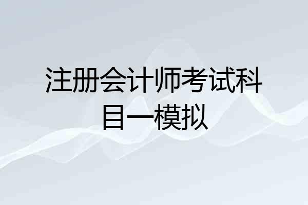 注册会计师考试科目一模拟