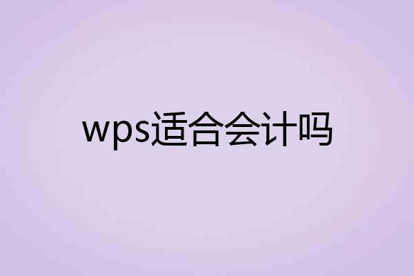 wps适合会计吗