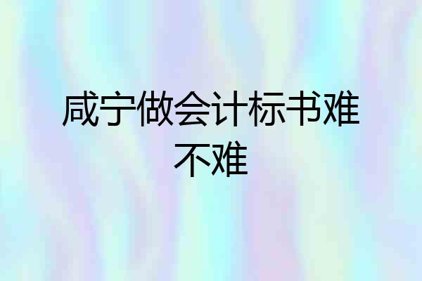 咸宁做会计标书难不难