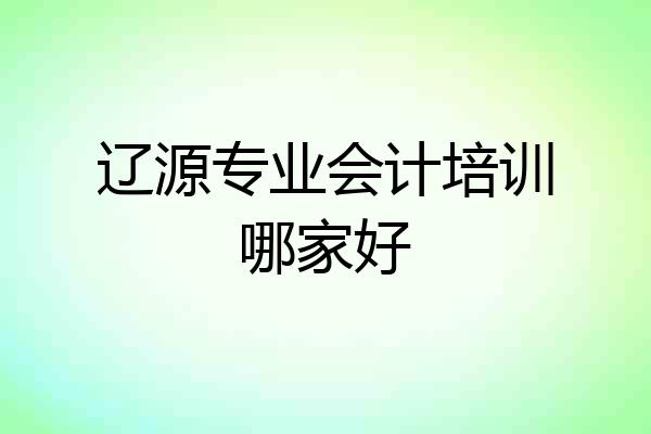 辽源专业会计培训哪家好