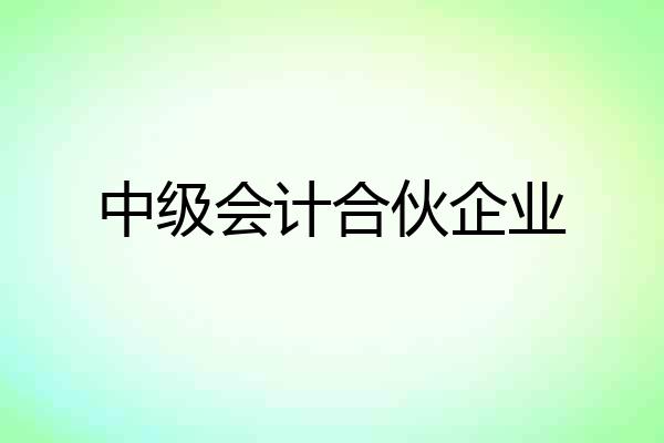 中级会计合伙企业