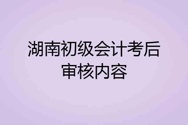 湖南初级会计考后审核内容