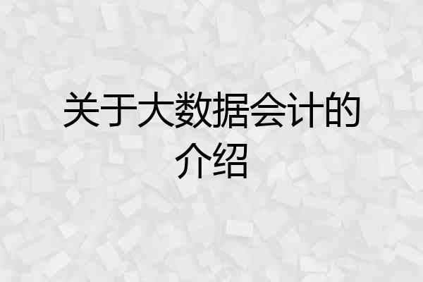关于大数据会计的介绍
