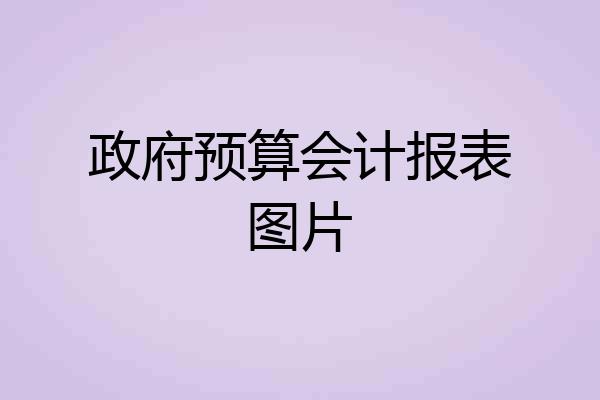 政府预算会计报表图片