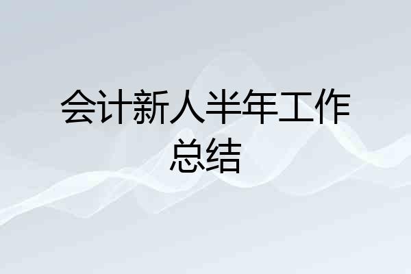 会计新人半年工作总结