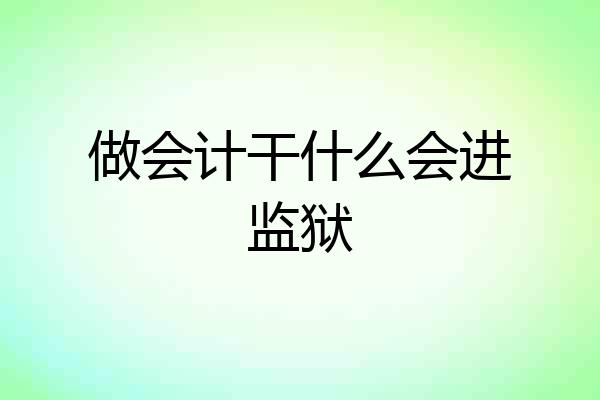 做会计干什么会进监狱