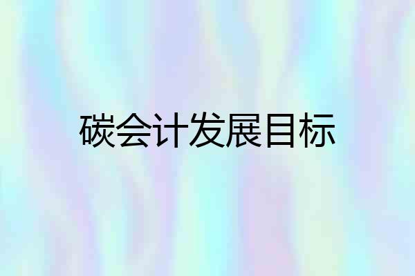 碳会计发展目标