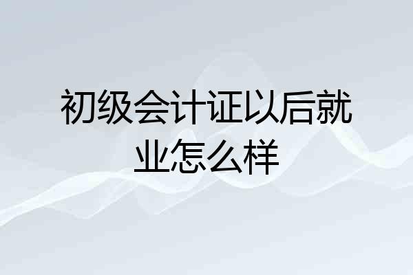 初级会计证以后就业怎么样